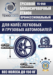Комплект TS-52D Шиномонтажный стенд+TS-950 Балансировочный станок