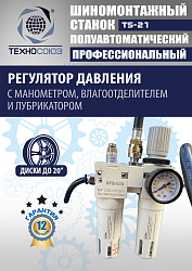 Станок шиномонтажный TS-21